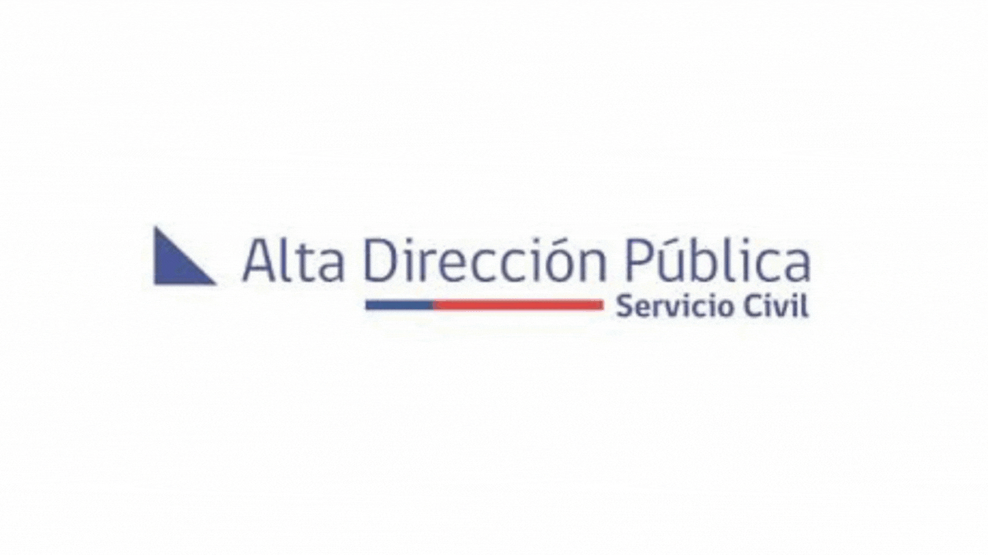 Selección Alta Dirección