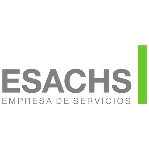 logo-esachs logo-esachs